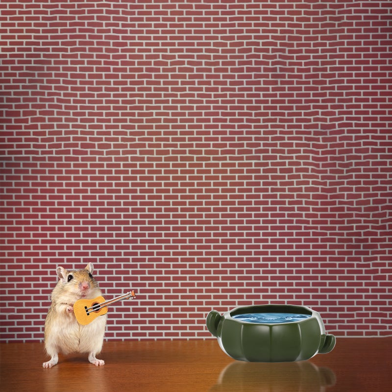 🐾 وعاء طعام خزفي للقوارض الصغيرة - Image 2