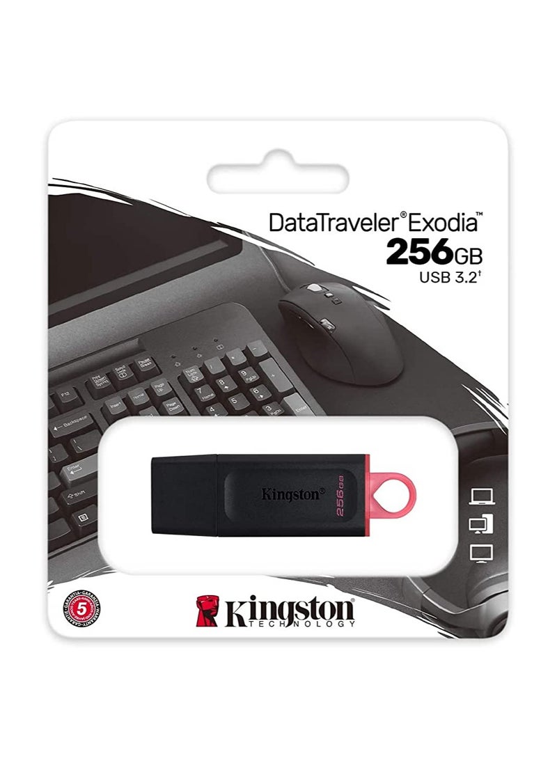 كينغستون - كنجستون سعة تخزين 256 جيجا يو اس بي 3.2 -  DTX/256GB - Image 1