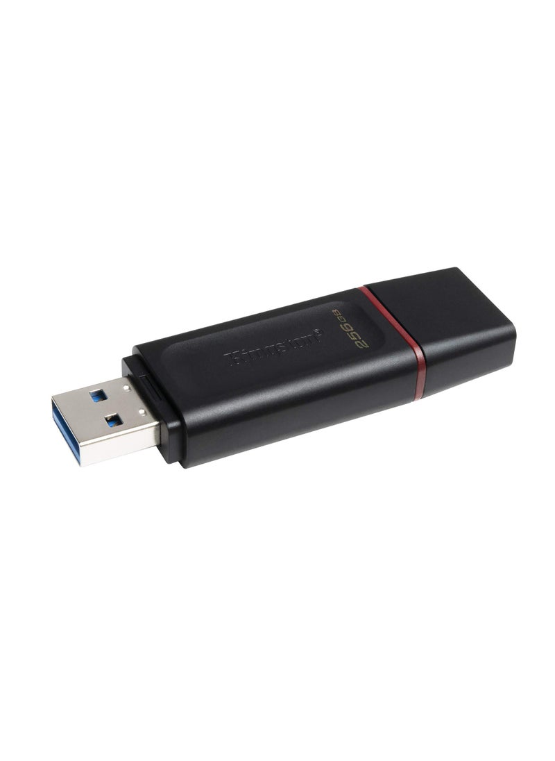 كينغستون - كنجستون سعة تخزين 256 جيجا يو اس بي 3.2 -  DTX/256GB - Image 1