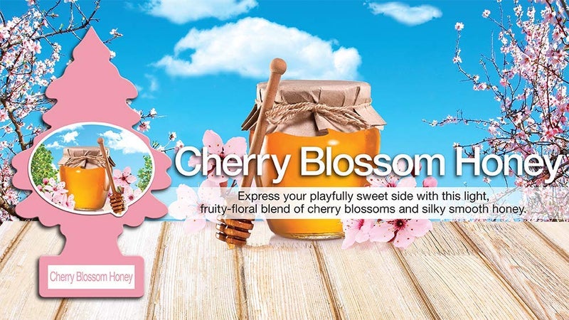 Little Trees Air Fresheners, Singles, Cherry Blossom Honey (Pack of 12) - Image 3