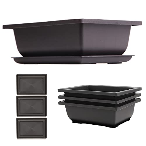 C CRYSTAL LEMON Bonsai Pots with Trays – 3-Pack Durable Plastic Pots with Drainage Holes, 9" D x 6.7" W x 3" H for Indoor Plants - Image 1