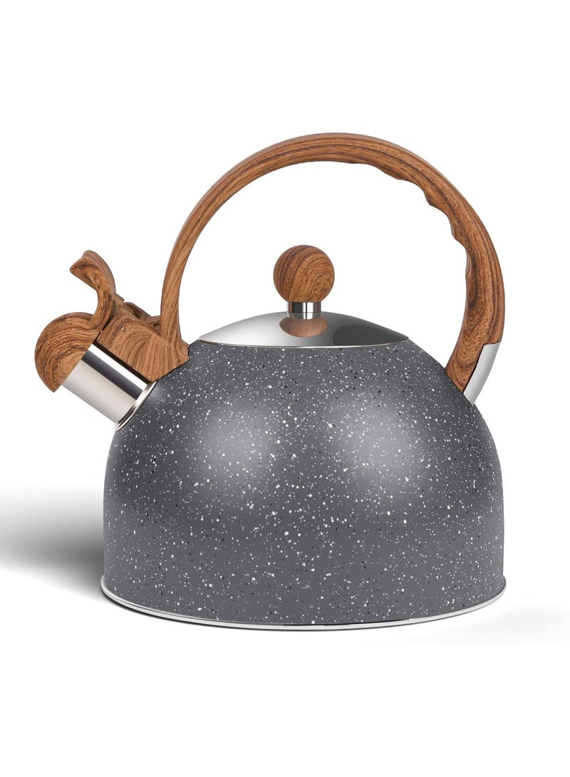 كيلا غلاية شاي صافرة للموقد، غلاية ماء من الفولاذ المقاوم للصدأ سعة 2.6 كوارت للموقد، غلاية حجرية حثية مع صفارة عالية - مثالية لتحضير الماء الساخن والقهوة والحليب (رمادي) - Image 1