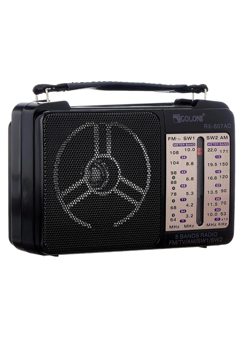 Golon Classic Mini Electric Radio RX-607AC - Image 1