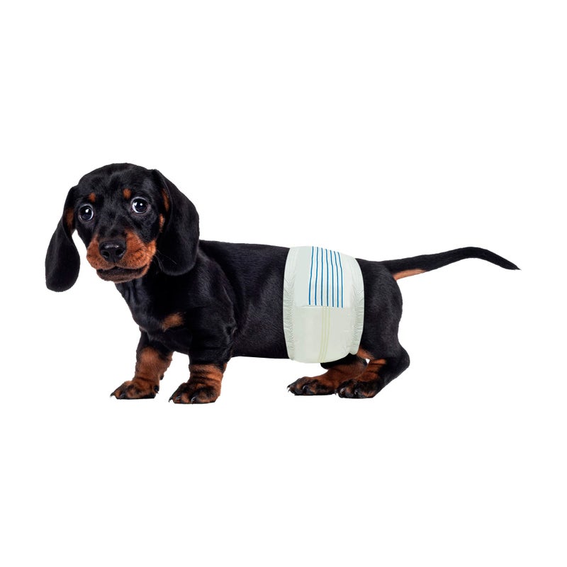 BV Dog Diapers Male Small (Waist 12-19in) Super Absorbent - 50 Count Disposable - Doggie Diapers with Wetness Indicator - Adjustable Male Dog Wraps - Ideal for Incontinence/Training - Image 1