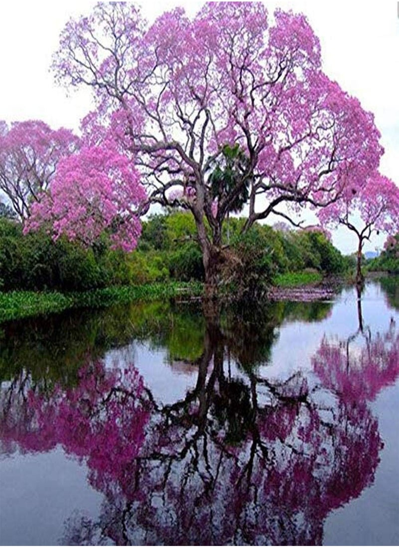GGOOT - 200 Pcs Best Paulownia Empress Tree Seeds Romantic Flower Great Aroma Fast Growing - Image 1