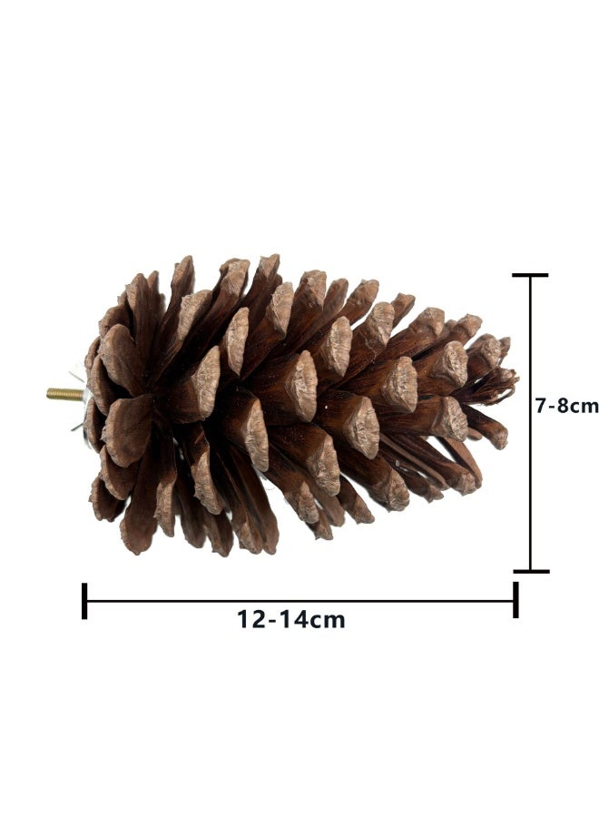 إرفاق الطيور الصنوبر - إرفاق الطيور الصنوبرية الطبيعية لتغذية القفص ، إرفاق الطيور الصغيرة ، لعب الطيور لجلود النمر ، طيور حب الطيور - Image 5