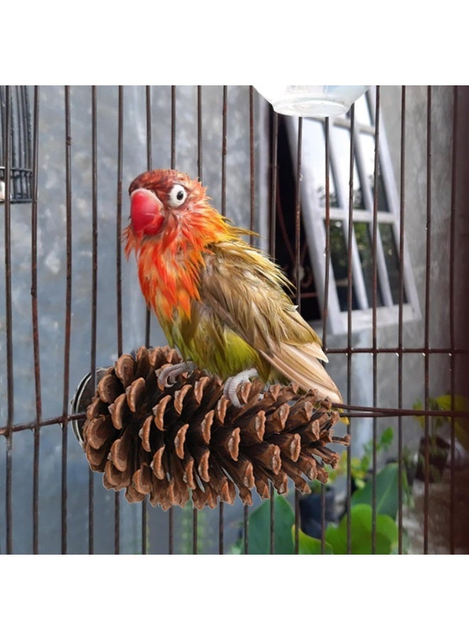 إرفاق الطيور الصنوبر - إرفاق الطيور الصنوبرية الطبيعية لتغذية القفص ، إرفاق الطيور الصغيرة ، لعب الطيور لجلود النمر ، طيور حب الطيور - Image 2