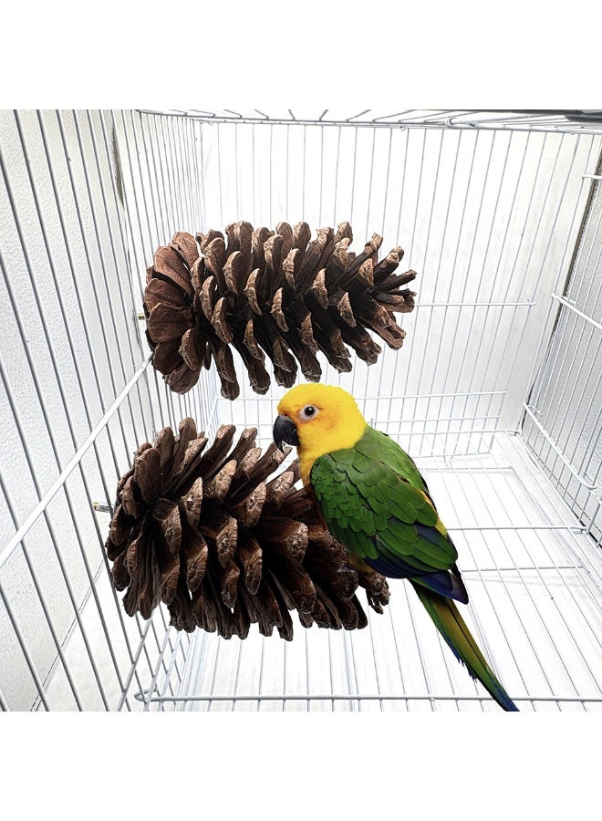 إرفاق الطيور الصنوبر - إرفاق الطيور الصنوبرية الطبيعية لتغذية القفص ، إرفاق الطيور الصغيرة ، لعب الطيور لجلود النمر ، طيور حب الطيور - Image 4