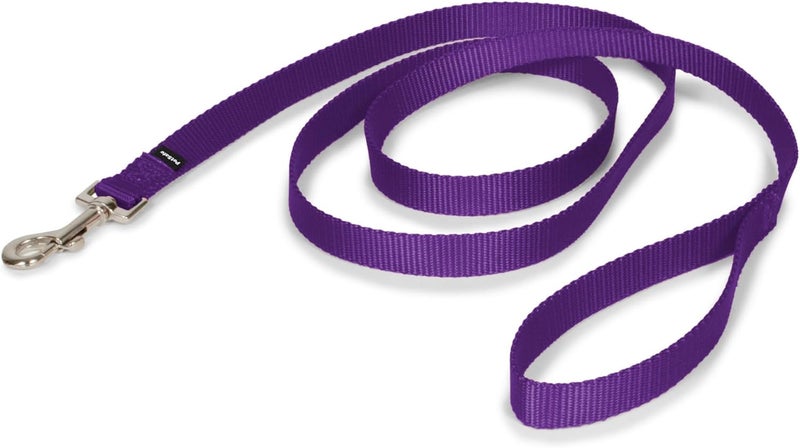 PetSafe Nylon Dog Leash - Strong and Durable 3/4" x 6' Leash in Deep Purple - Image 1