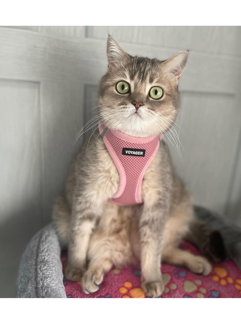 VOYAGER - Voyager step in air dog harness all weather mesh step in vest harness for small and medium dogs and cats by best pet supplies harness pink small - Image 1