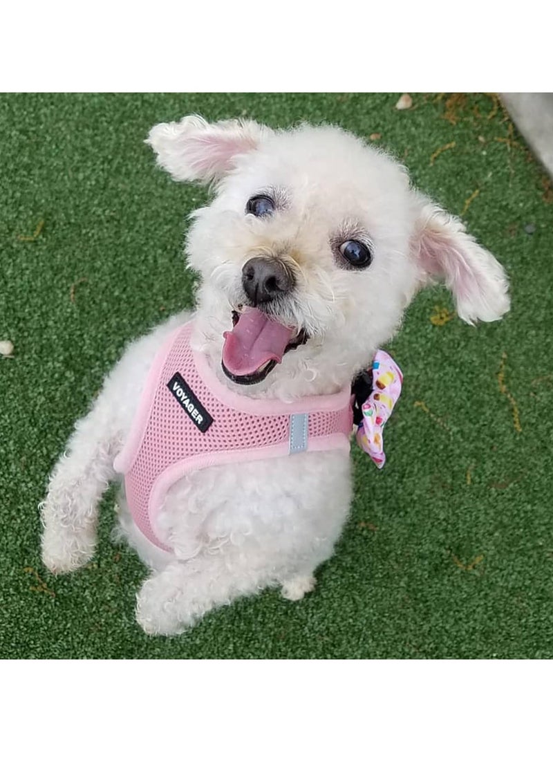 VOYAGER - Voyager step in air dog harness all weather mesh step in vest harness for small and medium dogs and cats by best pet supplies harness pink small - Image 1
