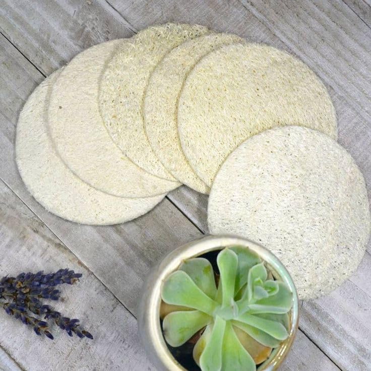 Loofah Natural Body Scrubber for Kids & Adults (Pack of 3) | Eco-Friendly, Biodegradable Loofah Sponge for Bathing Scrubber 100% Natural, (Pack of 3) - Image 3