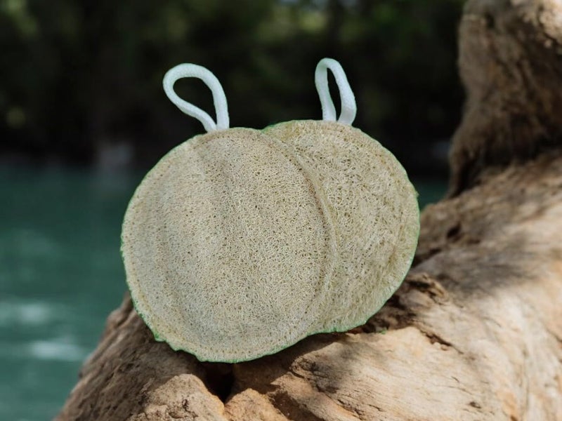 Loofah Natural Body Scrubber for Kids & Adults (Pack of 3) | Eco-Friendly, Biodegradable Loofah Sponge for Bathing Scrubber 100% Natural, (Pack of 3) - Image 4