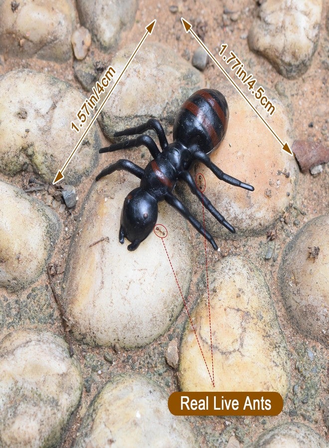 KDUPUP 10PCS Fake Giant Ants Queen Black Ant Realistic Ant Decor Supplies - Image 4