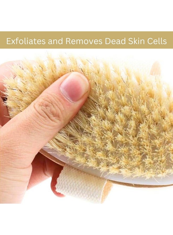 Allure Wooden Body Brush with Natural Bristles - BB03 bathing brush - Image 2