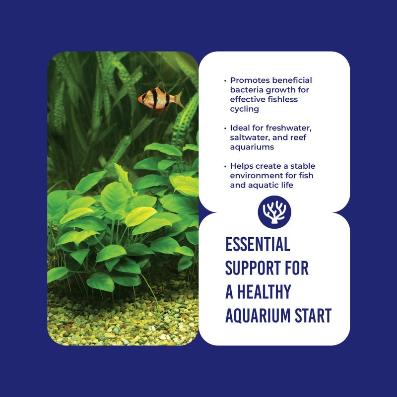 DrTim's Aquatics DrTim’s Aquatics Ammonium Chloride Solution for Fishless Cycling - 4 oz., Treats 200 gal. – Fish Tank Cleaner for Saltwater, Freshwater & Reef Aquariums - Image 3