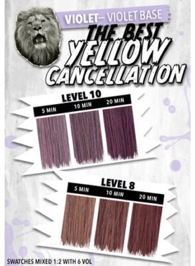 P.R. Pulp Riot High Speed Toner 3oz- Violet - Image 3