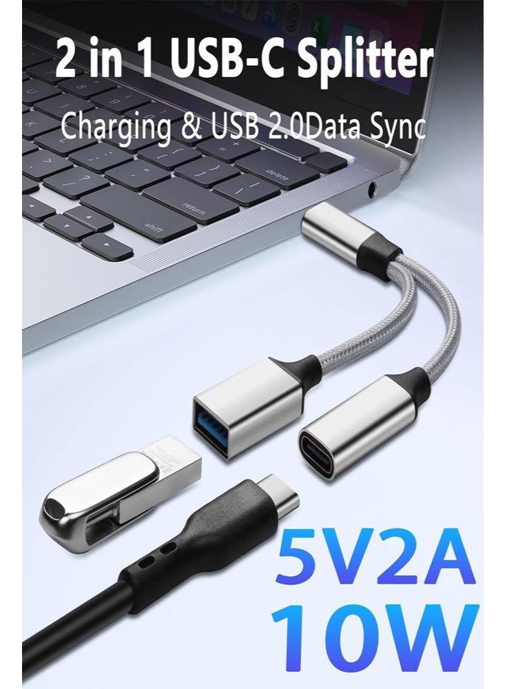 10W USB-C OTG Media Adapter 12CM Black - Image 1