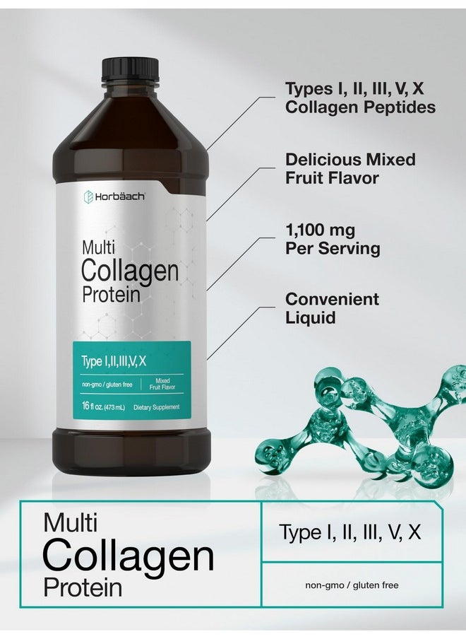 Horbaach Horbaach Multi Collagen Protein 16 fl oz | Fruit Flavor | Liquid Collagen Peptides | Type I, II, III, V, X | Non-GMO, Gluten Free Supplement  - Image 4