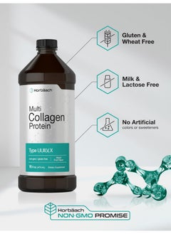 Horbaach Horbaach Multi Collagen Protein 16 fl oz | Fruit Flavor | Liquid Collagen Peptides | Type I, II, III, V, X | Non-GMO, Gluten Free Supplement  - Image 5