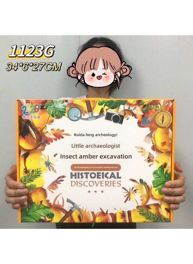 Training Institution Renewal Gift Archaeological Excavation Dinosaur Toy Plaster Doll Handmade DIY Creative Production Toy-Color:Insect Excavation - Image 1