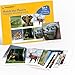 Keeping Busy Match The Photo Game with Fun Facts Set 4 Matching Games for Adults Dementia Activities for Seniors Activities for Dementia Patients Alzheimers Activities for Elderly with Dementia - Image 2