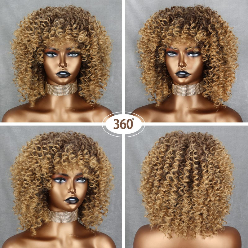 Xinran 14 inch Blonde Curly Wigs 70s, Kinky Brown Mixd Blonde Afro Wigs for Black Women, Synthetic Afro Curly Blonde Wigs for Women (Brown to Blonde) - Image 4