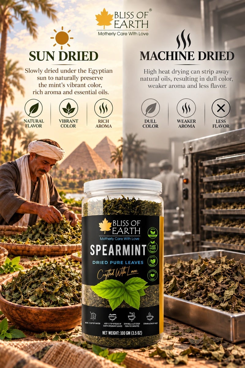 Bliss of Earth Spearmint Tea Leaves 100g | Egyptian Sun-Dried Loose-Leaf Herbal Tea for Brewing & Infusions | Premium Culinary Herb | Vegan & Caffeine-Free - Image 4