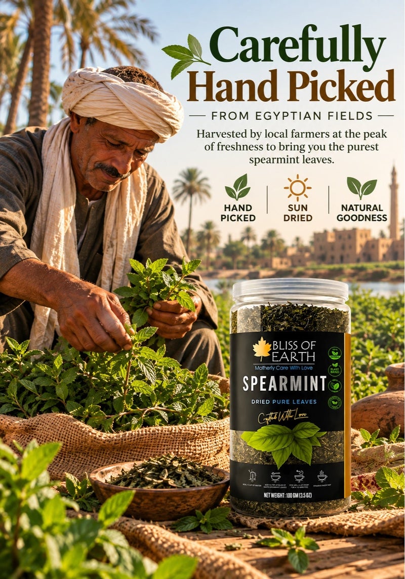 Bliss of Earth Spearmint Tea Leaves 100g | Egyptian Sun-Dried Loose-Leaf Herbal Tea for Brewing & Infusions | Premium Culinary Herb | Vegan & Caffeine-Free - Image 2