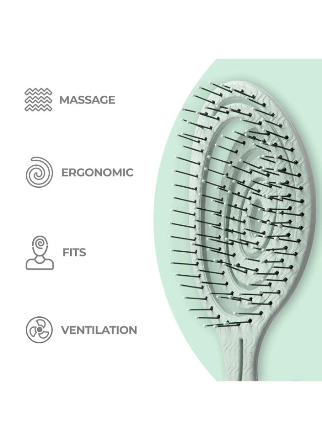 جاجرافو فرشاة شعر Jagravo Salon Vent – فرشاة احترافية لفك التشابك بشعيرات ناعمة مدببة ونهاية كروية ومقبض سيليكون – فرشاة تصفيف خفيفة مضادة للكهرباء الساكنة للرجال والنساء والأطفال (أخضر نعناعي / برتقالي خوخي / رمادي كلاسيكي) - Image 5