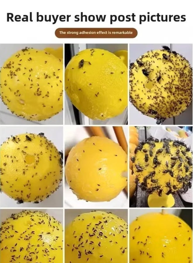 2 Pack Sticky Fly Trap Balls Eco-Friendly, – Effective Fly Catcher for Flies & Flying Insects & | Water-Proof Easy to Use Indoor & Outdoor |  Safe, Non-Toxic Pest Control Solution, Mosquito Gnats Fruit Fly Gnat Wasp Hornet Mosquito Bugs Flying Insects - Image 3