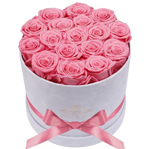 Prifroti 17 Flowers in a Luxury Suede Box, Birthday Gifts for Women, Preserved Flowers, Mothers Day Roses Gift for Mom, Light Pink - Image 1