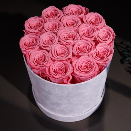 Prifroti 17 Flowers in a Luxury Suede Box, Birthday Gifts for Women, Preserved Flowers, Mothers Day Roses Gift for Mom, Light Pink - Image 4