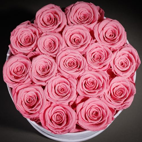 Prifroti 17 Flowers in a Luxury Suede Box, Birthday Gifts for Women, Preserved Flowers, Mothers Day Roses Gift for Mom, Light Pink - Image 5