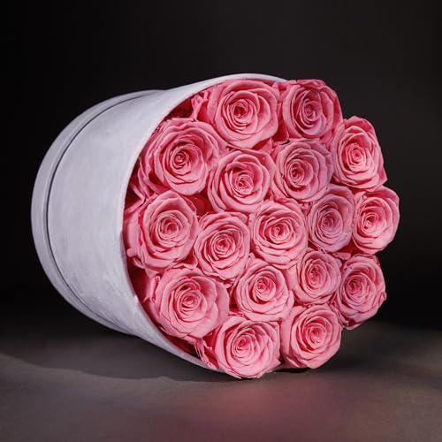 Prifroti 17 Flowers in a Luxury Suede Box, Birthday Gifts for Women, Preserved Flowers, Mothers Day Roses Gift for Mom, Light Pink - Image 2