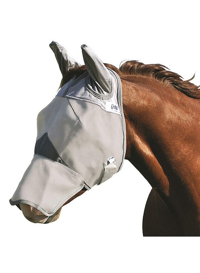 كاشيل قناع ذبابة الحصان الصليبي مع أنف وأذنين طويلتين، رمادي، حصان - Image 2