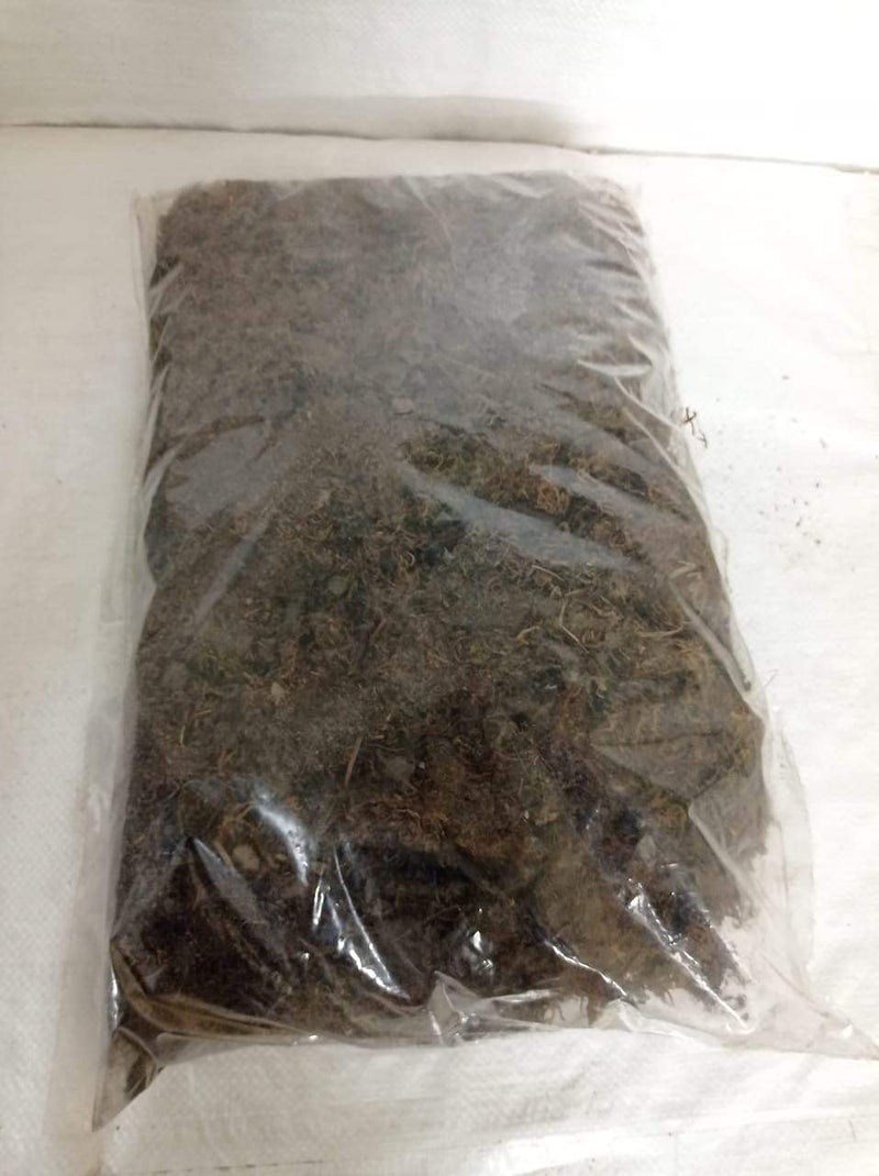 CAPPL Sphagnum Moss 1kg (Multicolour) | Moss for Terrarium, Aquarium, Seed Starting & Orchid Potting | Media for Plants & Soil Moisture Retention - Image 5