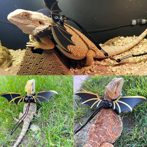 CUTENNIOU Bearded Dragon Carrier with Harness and Leash Set Large Small Animal Carrier Backpack Bubble Window Portable Small Pet Carrier for Reptile Lizard Rabbit Bird Guinea Pig Cat Travel Walking - Image 5