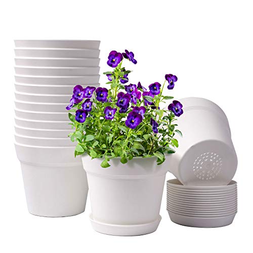 homenote Pots for Plants, 15 Pack 6 Inch Plastic Planters with Multiple Drainage Holes and Trays,Plant Pots for All Home Garden Flowers Succulents (White) - Image 1