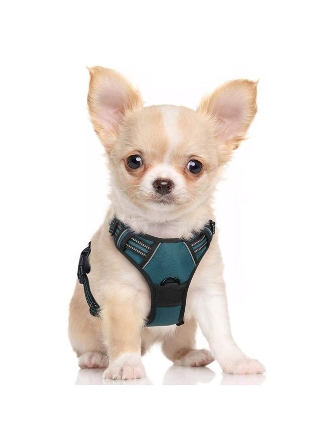 Rabbitgoo Dog Harness, No-Pull Pet Harness with 2 Leash Clips, Adjustable Soft Padded Dog Vest, Reflective No-Choke Pet Oxford Vest with Easy Control Handle for Small Dogs, Blue Coral, S