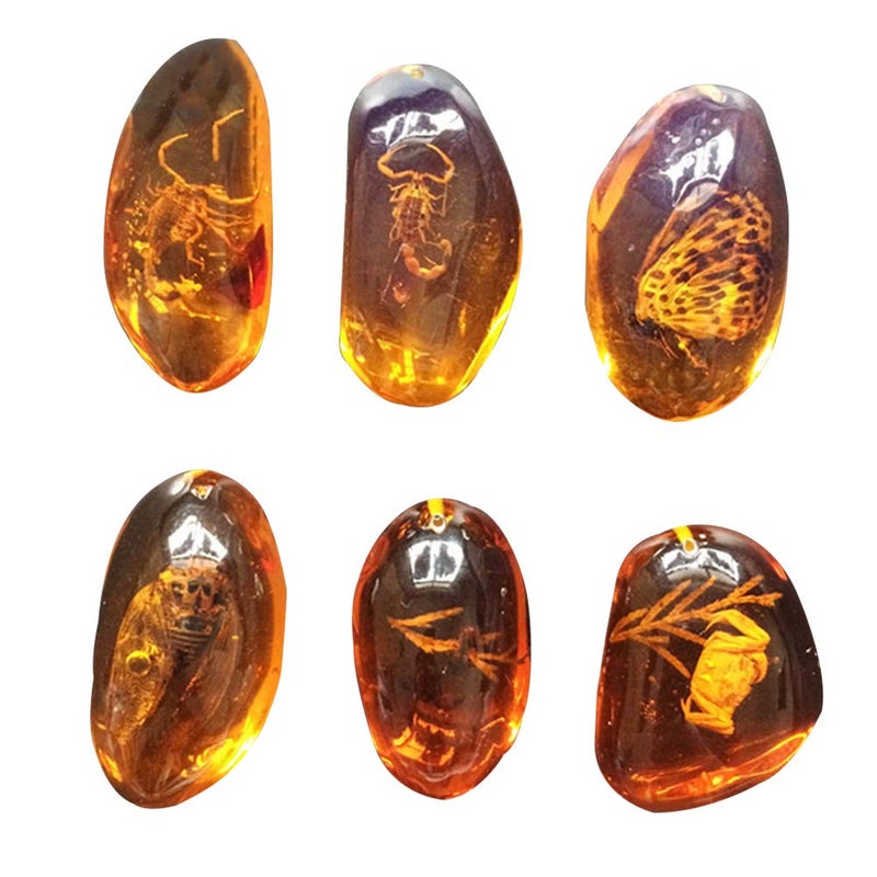 VORCOOL VORCOOL 5pcs Amber Fossil with Insects Samples Stones Crystal Specimens Home Decorations Collection Oval Pendant Random Pattern 