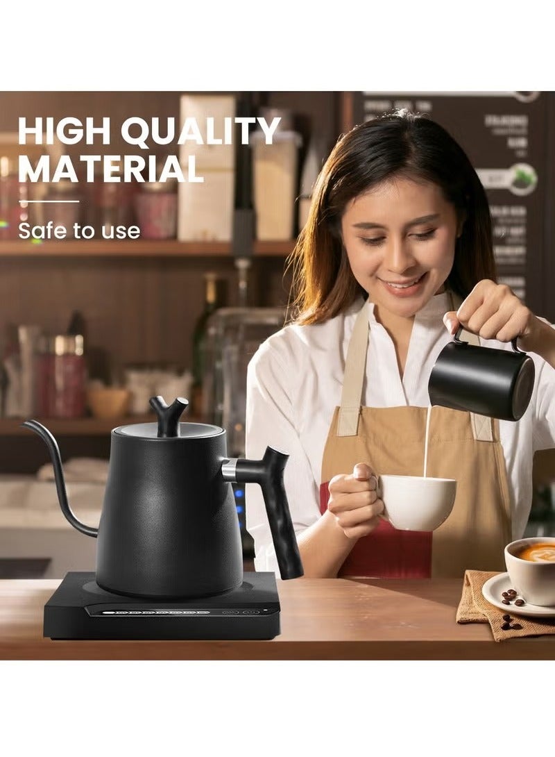 HOMESTAR Coffee Kettle, Tea Kettle 1L 1000W Power Button Temperature Adjustment, 304 Stainless Steel Coffee and Tea Pot  - Image 2