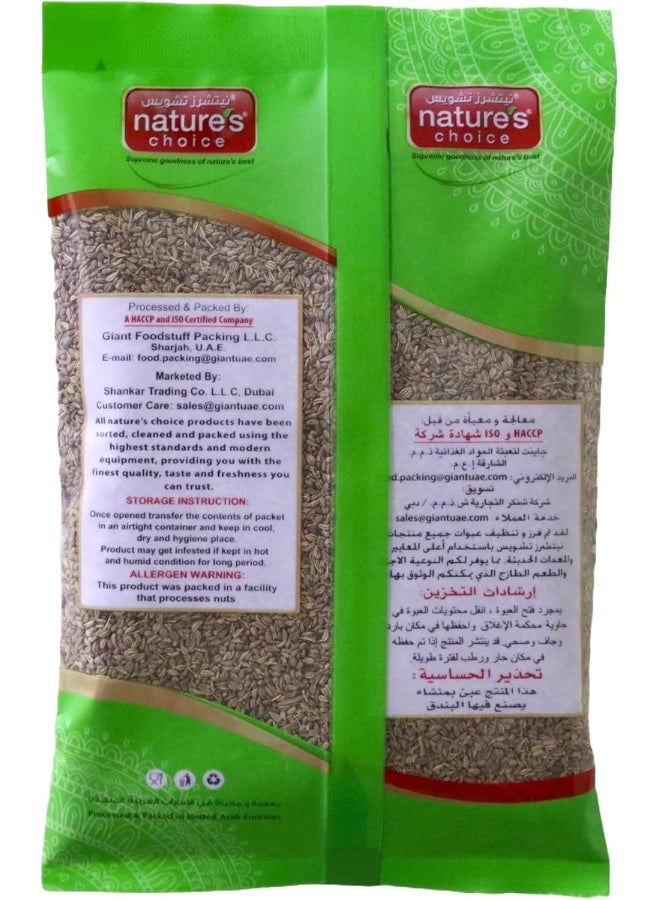 Nature's Choice Natures Choice AJWAN SEEDS 100G, Green & Red - Image 2