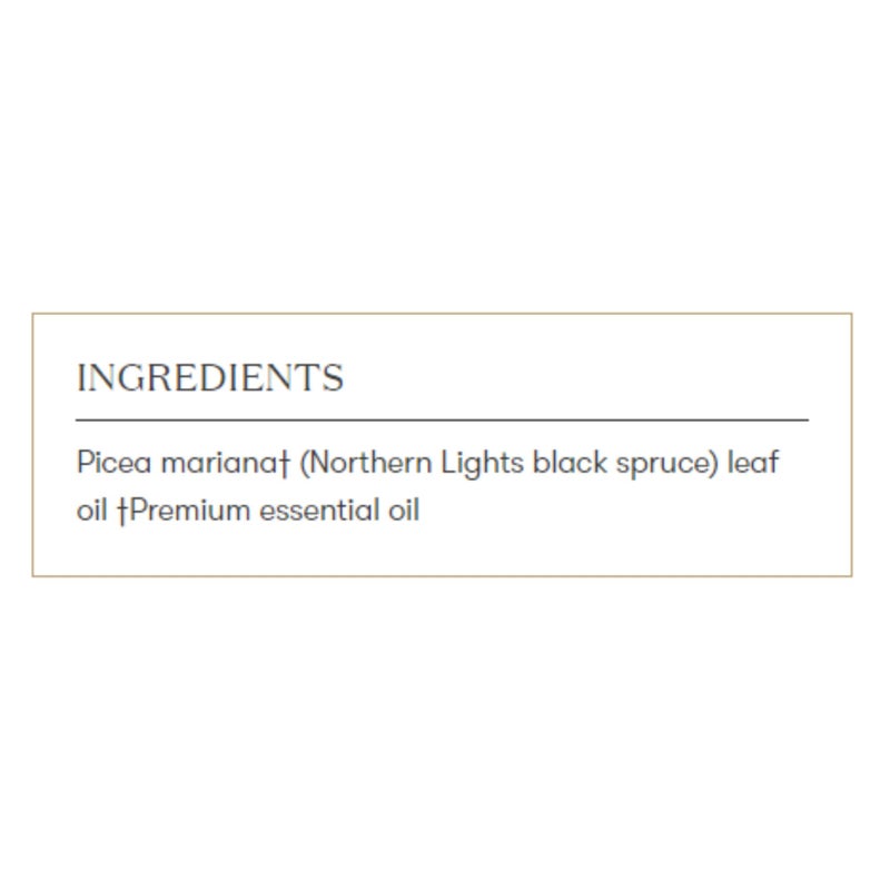 Young Living Northern Black Spruce Essential Oil 5ml - Fresh and Invigorating Aroma - Uplifting and Refreshing - Pure and Revitalizing - Ideal for Moisturizer - Image 3
