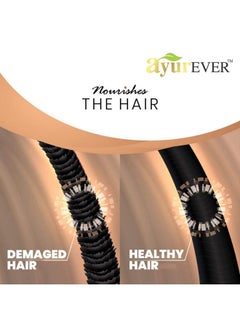 AYUREVER Onion Shampoo For Hair Strong And Dandruff Control (300 Ml)  - Image 5