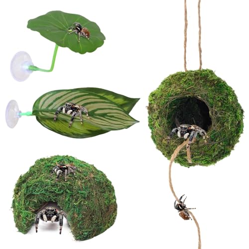 Hollima Big Jumping Spider Hide Kit, Jumping Spider Enclosures Habitat Accessories, Climbing Spiders Resting Hideout with Suction Cup Rope Bridge Leaf Ledge for Tarantula Small Insects - Image 1
