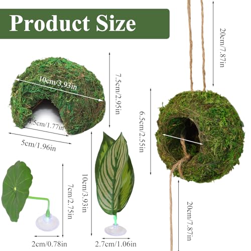 Hollima Big Jumping Spider Hide Kit, Jumping Spider Enclosures Habitat Accessories, Climbing Spiders Resting Hideout with Suction Cup Rope Bridge Leaf Ledge for Tarantula Small Insects - Image 2