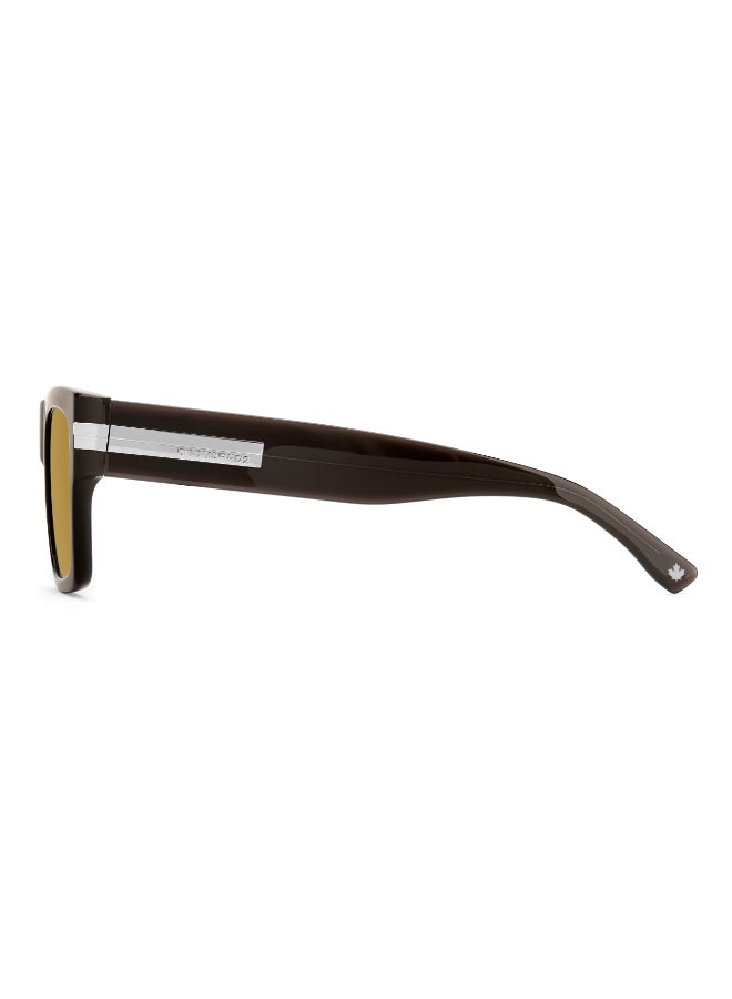 DSQUARED2 D2 0198/S Sunglasses Brown Square - Image 4