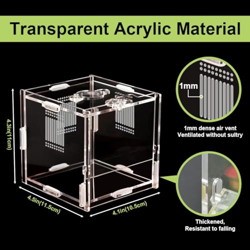 Julang Jumping Spider Enclosure 4 X 4 X 4 Acrylic Spider Habitat Front Opening Small Reptile Terrarium with Matrix Ventilation Holes Feeding Holes for Jumping Spider Snail Insect - Image 3
