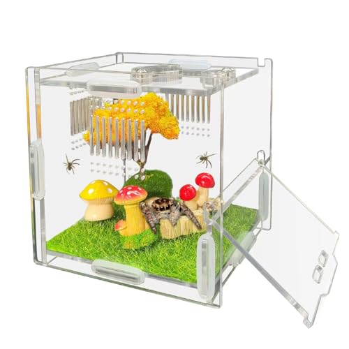 Julang Jumping Spider Enclosure 4 X 4 X 4 Acrylic Spider Habitat Front Opening Small Reptile Terrarium with Matrix Ventilation Holes Feeding Holes for Jumping Spider Snail Insect - Image 1